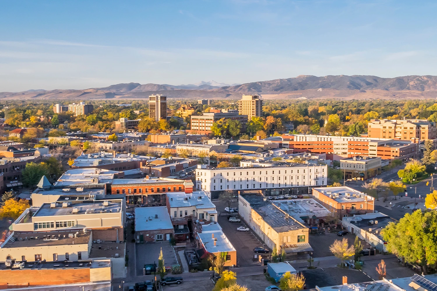 commerical real estate consulting lovleand colorado